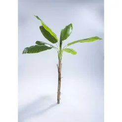 Cheap RETIF Bananier Artificiel H.200 Cm