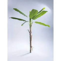 Cheap RETIF Bananier Artificiel H.200 Cm