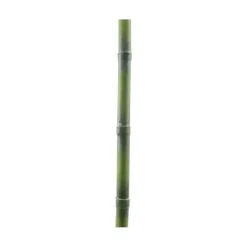 Cheap RETIF Baton De Bambou En Plastique 120Cm