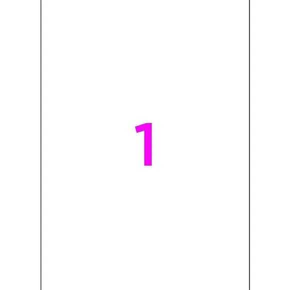 Shop RETIF Bo Te De 100 Tiquettes Multi-Usage Blanches 199,6X289,1Mm