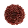 Online RETIF Boule V G Tale Automne Lie De Vin 10Cm