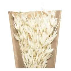 Fashion RETIF Bouquet De Tiges Et Plantes S Ch Es H45Cm