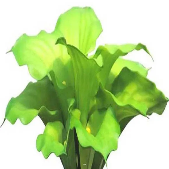 Sale RETIF Bouquet D&Rsquoarum Calla Artificiel 12 T Tes H45Cm Vert Best