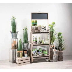 Best RETIF Caisse En Bois Brut Gris 45X30X23 + 39X26X20 + 32.5X22X17.5Cm - Par 3