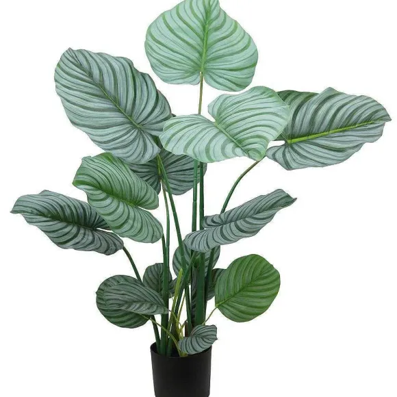 Best RETIF Calath A Effet "Toucher Naturel" H100Cm