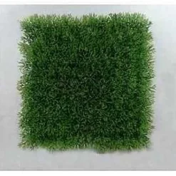 Best RETIF Carr D'Herbe Vert 25X25Cm