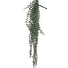 Flash Sale RETIF Chute De Ceropegia Woodi - H70Cm