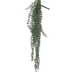 Flash Sale RETIF Chute De Ceropegia Woodi - H70Cm