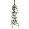 New RETIF Chute De Rhipsalis - H60Cm