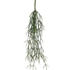 New RETIF Chute De Rhipsalis - H60Cm