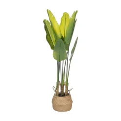 Clearance RETIF Claustra Firenze Blanc Star Progetti