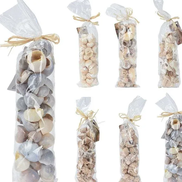 Best RETIF Coquillages D Coratifs En Sachet 6 Mod Les Possibles