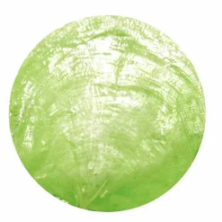 Discount RETIF Coquillages Nacr S 50 Mm Anis - Par 12 Lots De 6