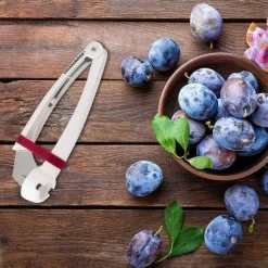 Outlet RETIF D Noyauteur De Prunes Fackelmann Arcadalina