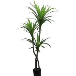 Fashion RETIF Dracena Dans Pot H130Cm