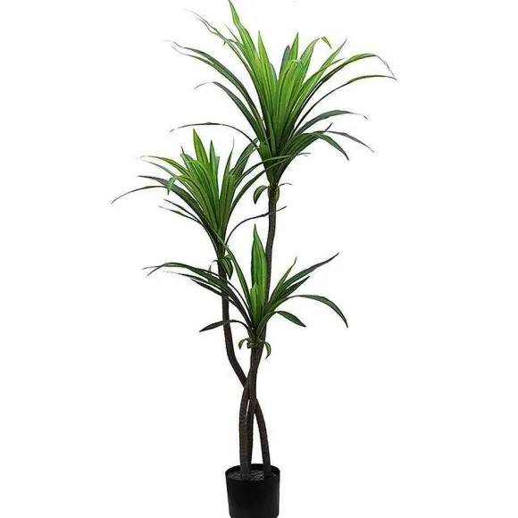 Fashion RETIF Dracena Dans Pot H130Cm