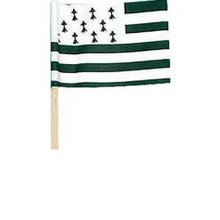 Store RETIF Drapeau Bretagne - Par 144