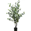 Discount RETIF Eucalyptus Dans Pot H95Cm