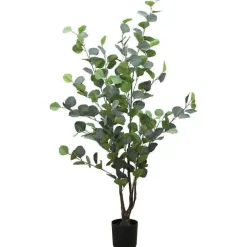 Discount RETIF Eucalyptus Dans Pot H95Cm