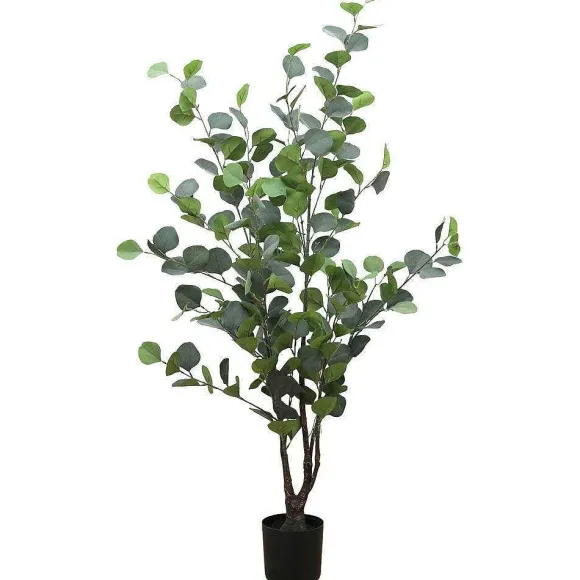 Discount RETIF Eucalyptus Dans Pot H95Cm