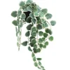 Discount RETIF Eucalyptus Retombant Dans Pot Plastique H63Cm