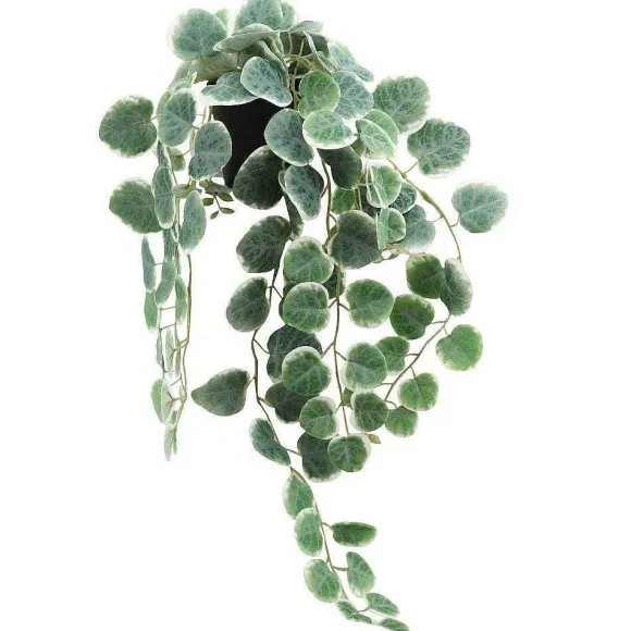 Discount RETIF Eucalyptus Retombant Dans Pot Plastique H63Cm