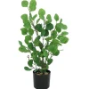 Fashion RETIF Eucalyptus Vert Dans Pot H60Cm