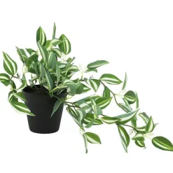 Sale RETIF Feuillage Retombant En Pot H50Cm