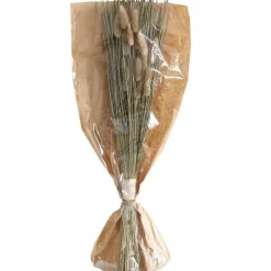 Best Sale RETIF Fleurs S Ch Es En Bouquet Avec Chatons Dans Sachet Kraft H55/60Cm
