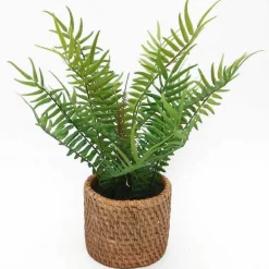 New RETIF Foug Re En Pot Effet Cannage H30Cm