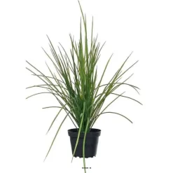 Discount RETIF Herbe Toeuffe Artificielle En Pot H40Cm 45Cm Dense Et Aerienne