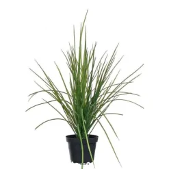 Discount RETIF Herbe Toeuffe Artificielle En Pot H40Cm 45Cm Dense Et Aerienne
