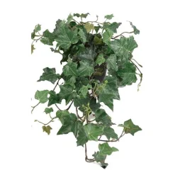 Best Sale RETIF Lierre Arborescent Artificiel En Pot H55Cm 35Cm