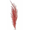Outlet RETIF Magnifique Fausse Herbe De Pampa Grande Tige 100Cm Rose