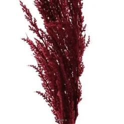 New RETIF Magnifique Fausse Herbe De Pampa Grande Tige 100Cm Pourpre