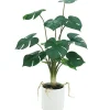 Hot RETIF Monstera Dans Pot H55Cm