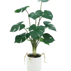 Hot RETIF Monstera Dans Pot H55Cm