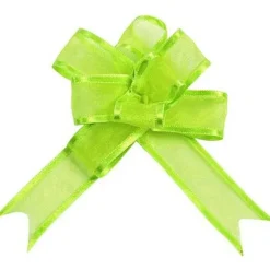 Hot RETIF Noeuds Automatiques X5 En Organdi Vert Anis L20Mm D11Cm Top Vert