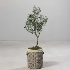 Fashion RETIF Olivier Artificiel Dans Pot H 120 Cm