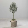 Fashion RETIF Olivier Artificiel Dans Pot H 150 Cm