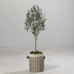 Fashion RETIF Olivier Artificiel Dans Pot H 150 Cm
