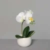 Online RETIF Orchid E Artificielle Dans Pot Blanc H 16 Cm