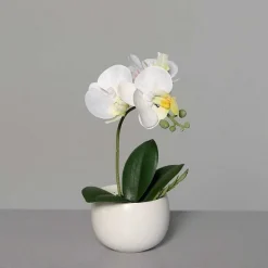 Online RETIF Orchid E Artificielle Dans Pot Blanc H 16 Cm