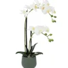 Shop RETIF Orchid E "Toucher Naturel" Dans Pot H51Cm