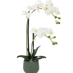 Shop RETIF Orchid E "Toucher Naturel" Dans Pot H51Cm
