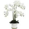 Clearance RETIF Orchid E Toucher Naturel H 80 Cm