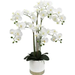 Clearance RETIF Orchid E Toucher Naturel H 80 Cm