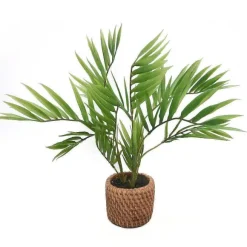 New RETIF Palmier Areca Dans Pot C Ramique Effet Cannage H35Cm