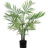 Best RETIF Palmier Areca Dans Pot Plastique H76Cm