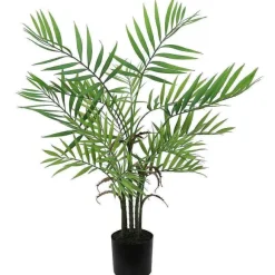 Best RETIF Palmier Areca Dans Pot Plastique H76Cm